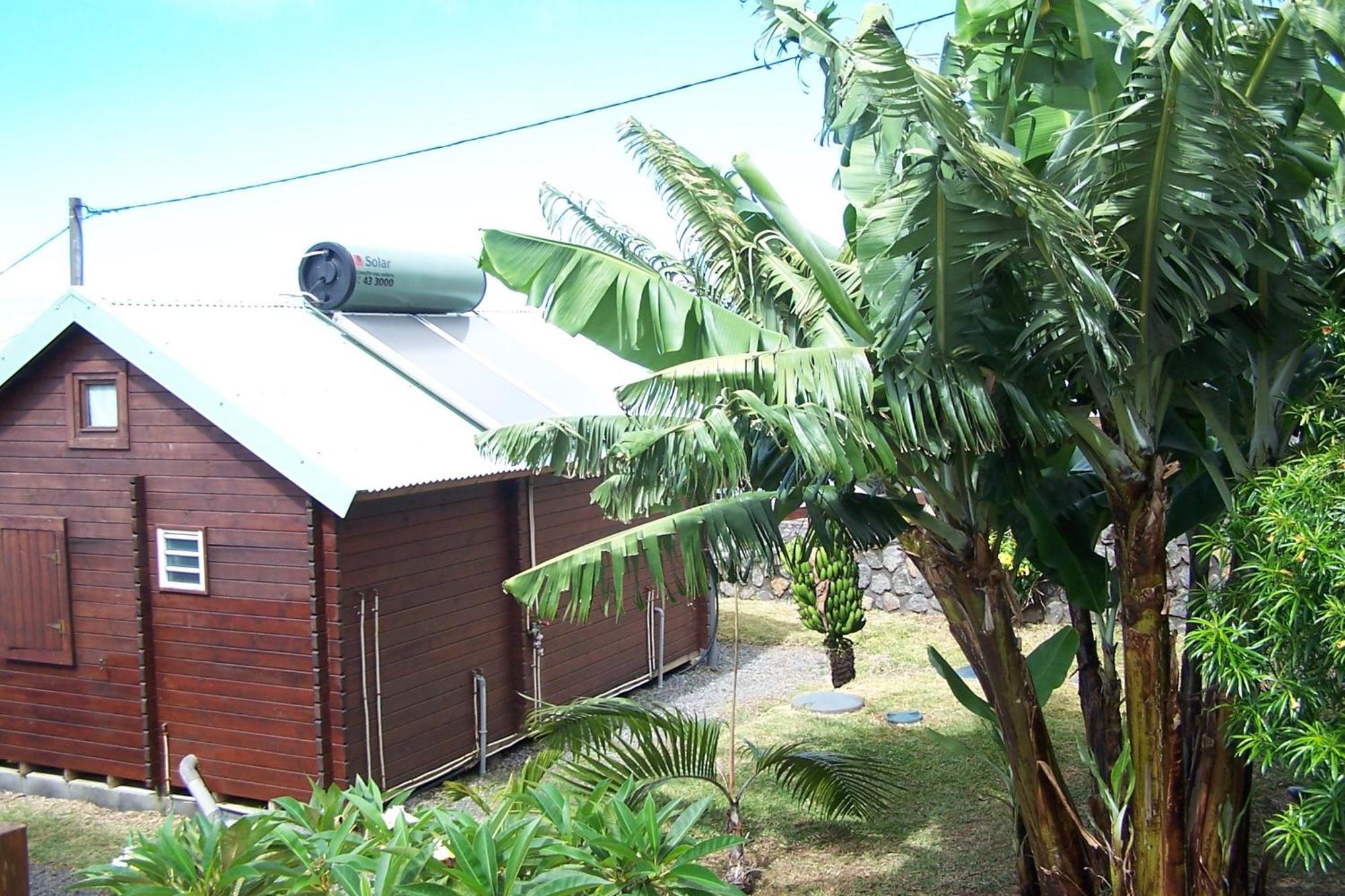 Les Bungalows Les Vanilliers, Sud Sauvage Avec Piscine Saint-Joseph Værelse billede