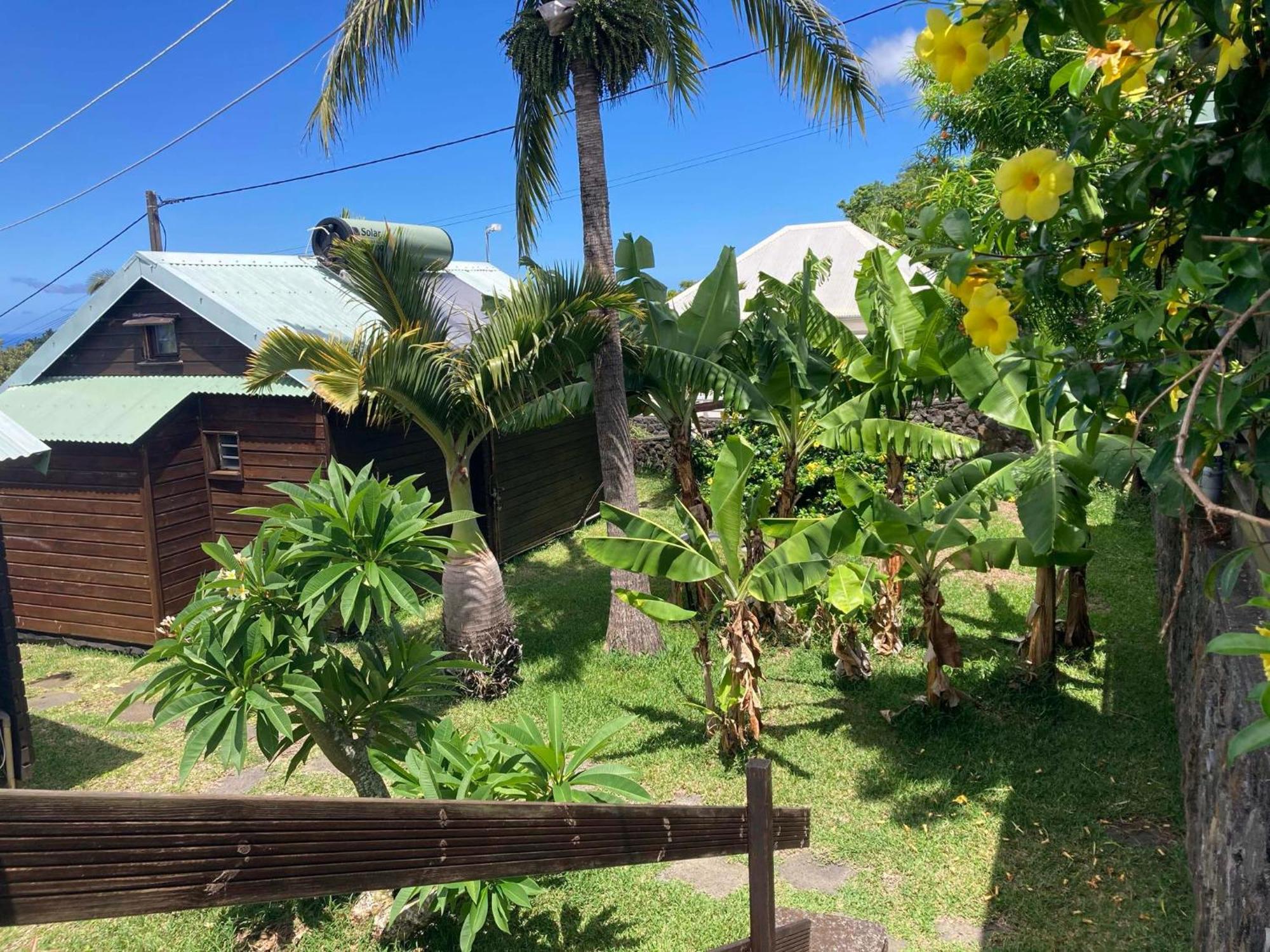 Les Bungalows Les Vanilliers, Sud Sauvage Avec Piscine Saint-Joseph Eksteriør billede